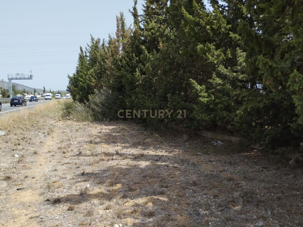 undefined - Image 4