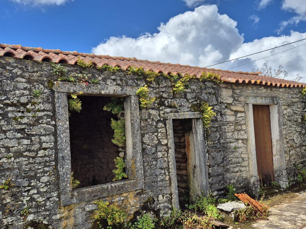 Oportunidade Única - Refúgio com vista para a Serra de Sicó, em Cotas, Pombalinho.  - Image 7