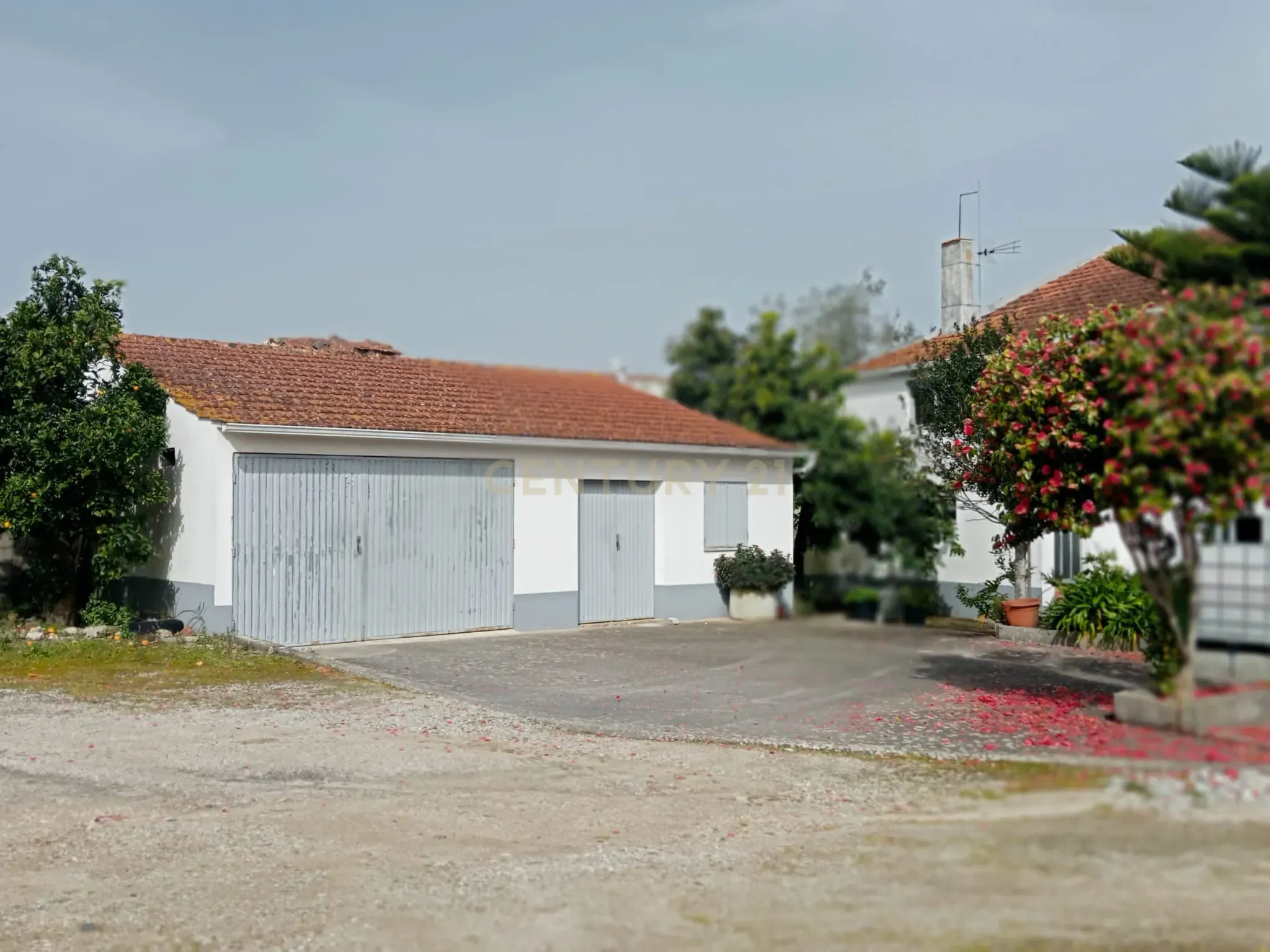 Moradia T6+ à venda em Atouguia, Ourém — foto 5