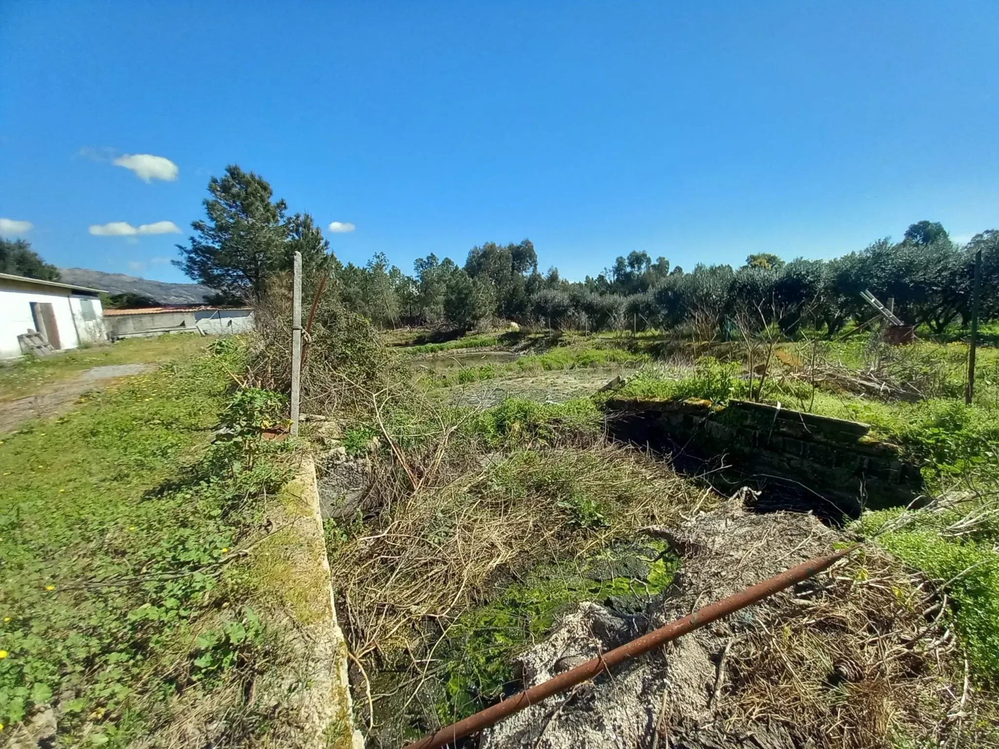 Fotografia 7 de Quinta com 24750m2 Louriçal do campo
