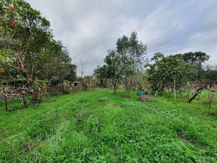 Fotografia 10 de Terreno com Vista para o Rio em Chão Grande - Gonçalo - Guarda