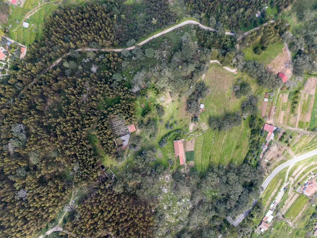 QUINTA COM 2,5 HECTARES EM ZONA CENTRAL DE MONCHIQUE - Image 48