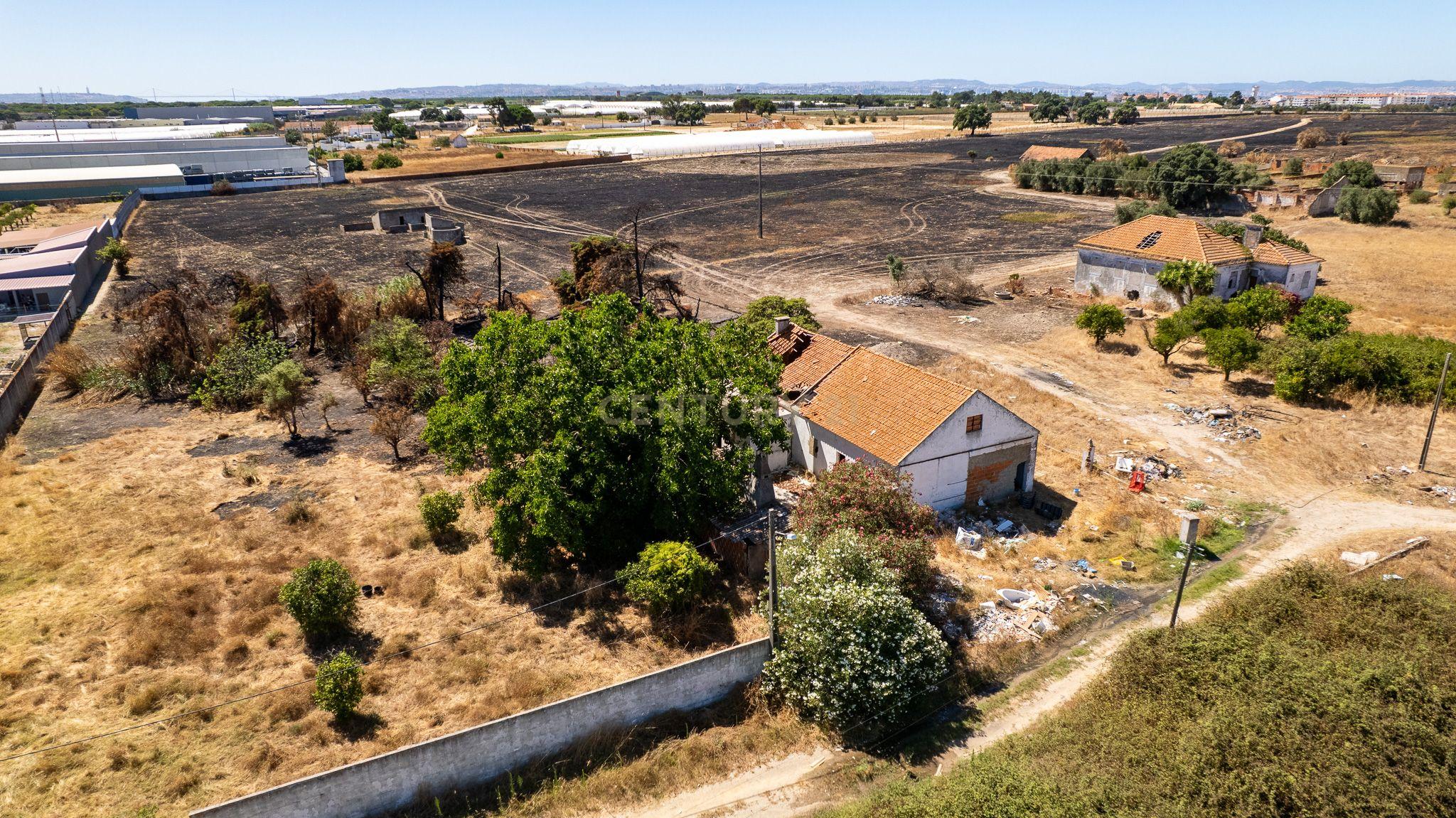 💥 Terreno Rústico com 10.105 m² em Zona Industrial – Montijo - Excelente Investimento! 💥