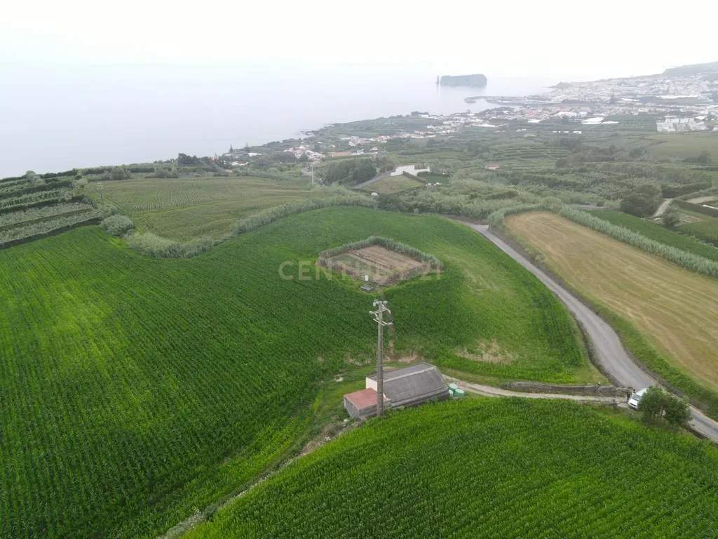 Terreno Agrícola com Armazém e Vista Mar — Um Refúgio Natural na Ribeira das Tainhas!  - Image 1
