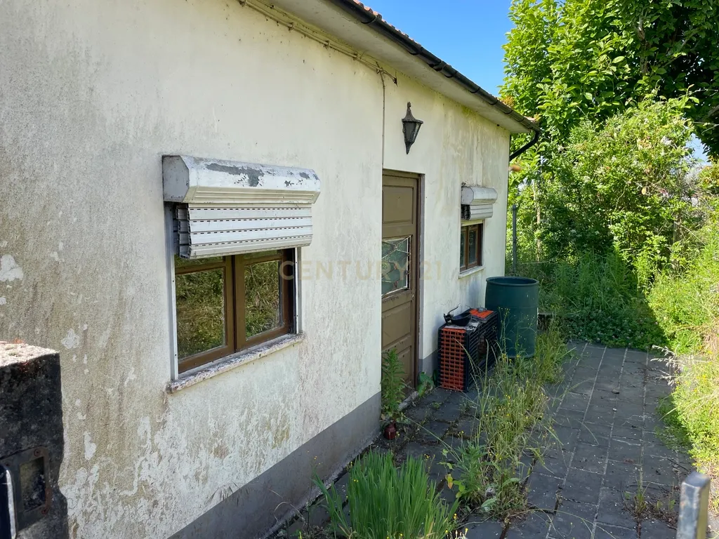 Propriedade junto ao Freixo - Image 20