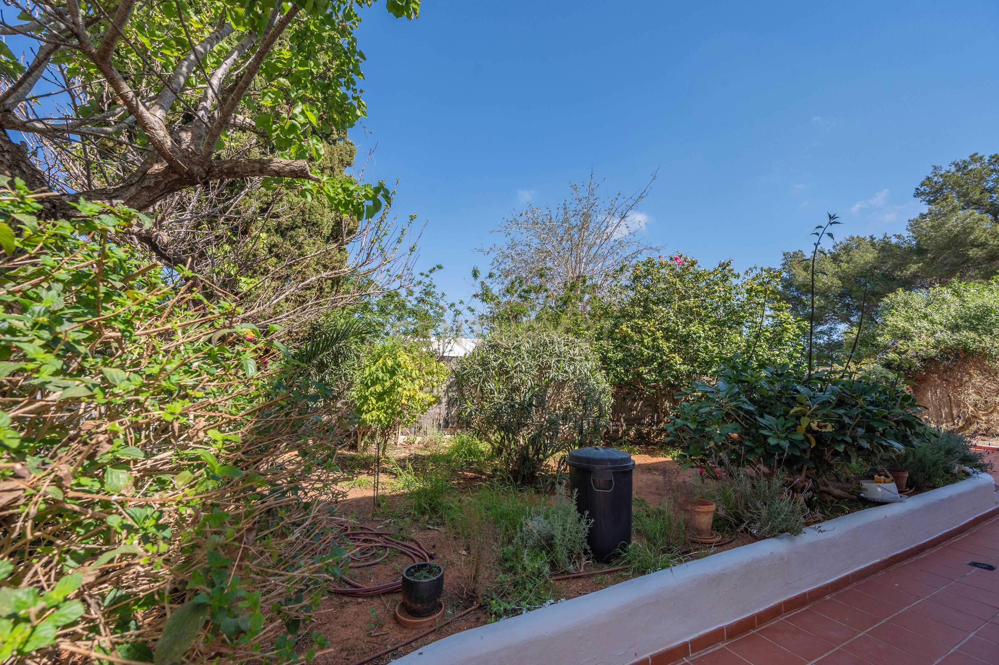 Moradia para reformar em Santa Eulália com piscina e vista panorâmica. Ótima oportunidade para investidores. - Image 23
