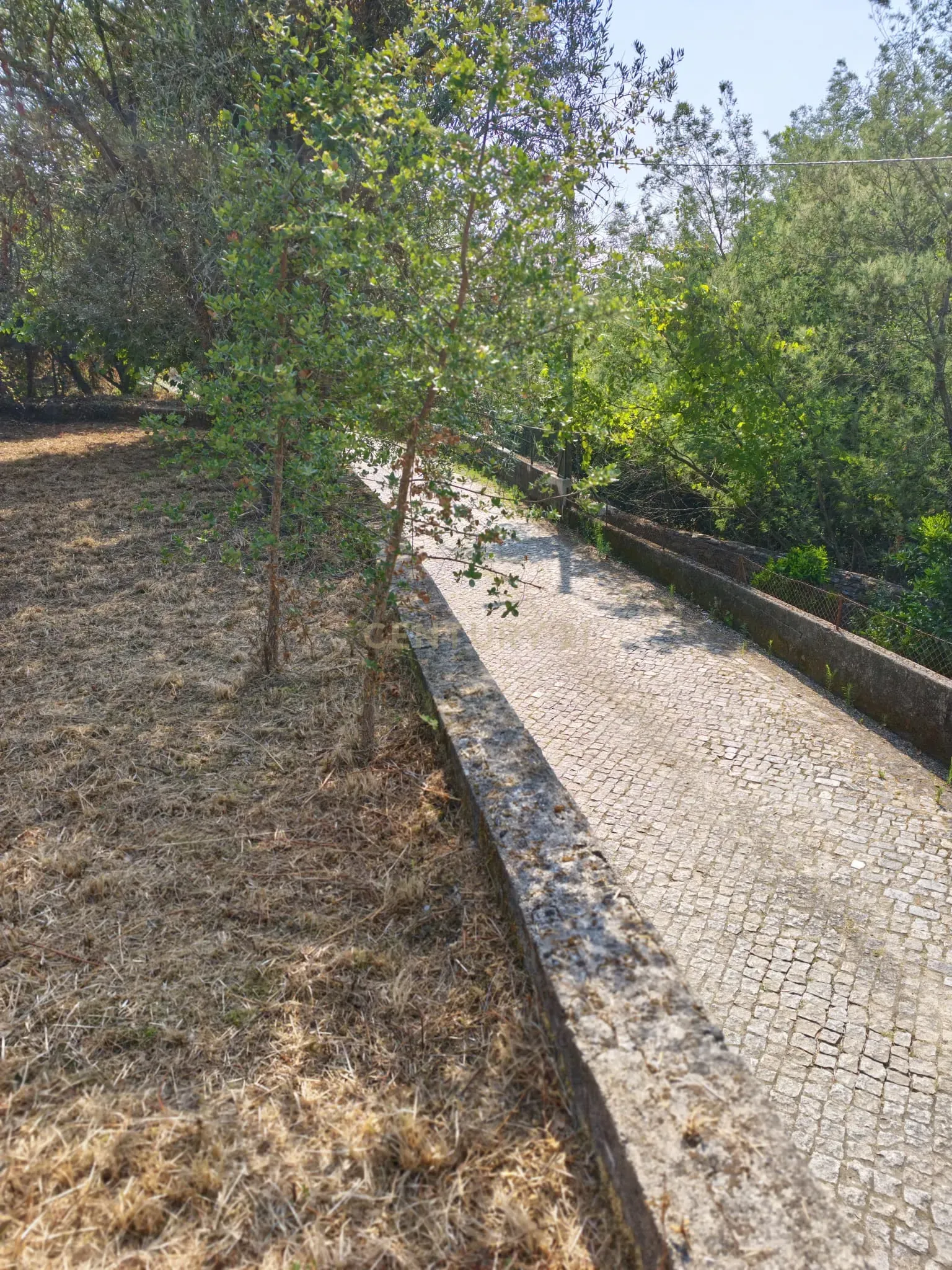 Fotografia 8 de Terreno para construção | 500m2 | PIP em aprovação | Agrela | Santo Tirso