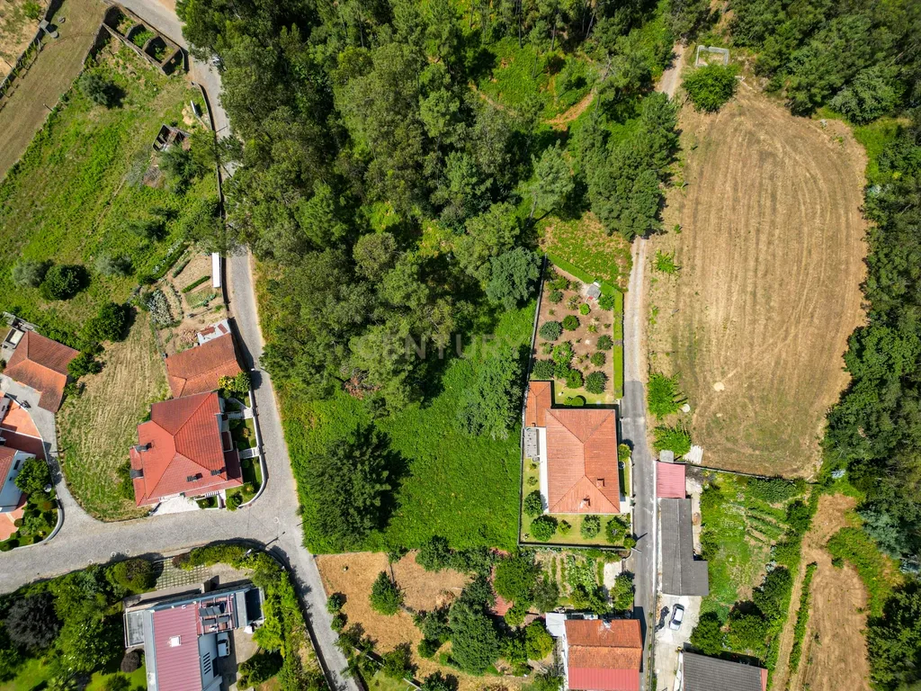 Terreno construção com 899m2 em Alheira - Barcelos - Image 4