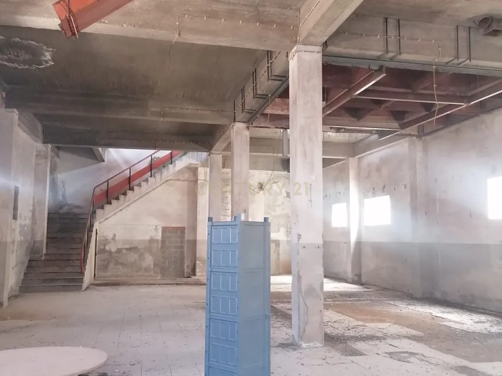 Armazém (565 m2 ) em pleno centro habitacional na Vidigueira para usar ou transformar! - Image 4