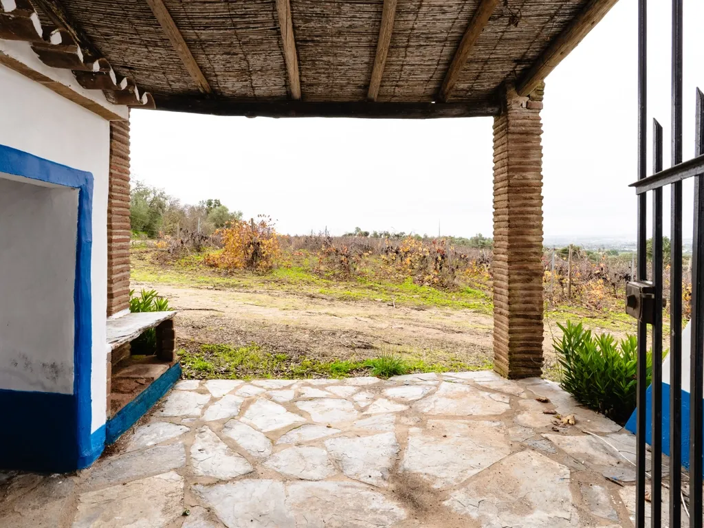Monte típico 15ha Reguengos Monsaraz "Corval" 5 divisões, piscina e vinha - Image 30