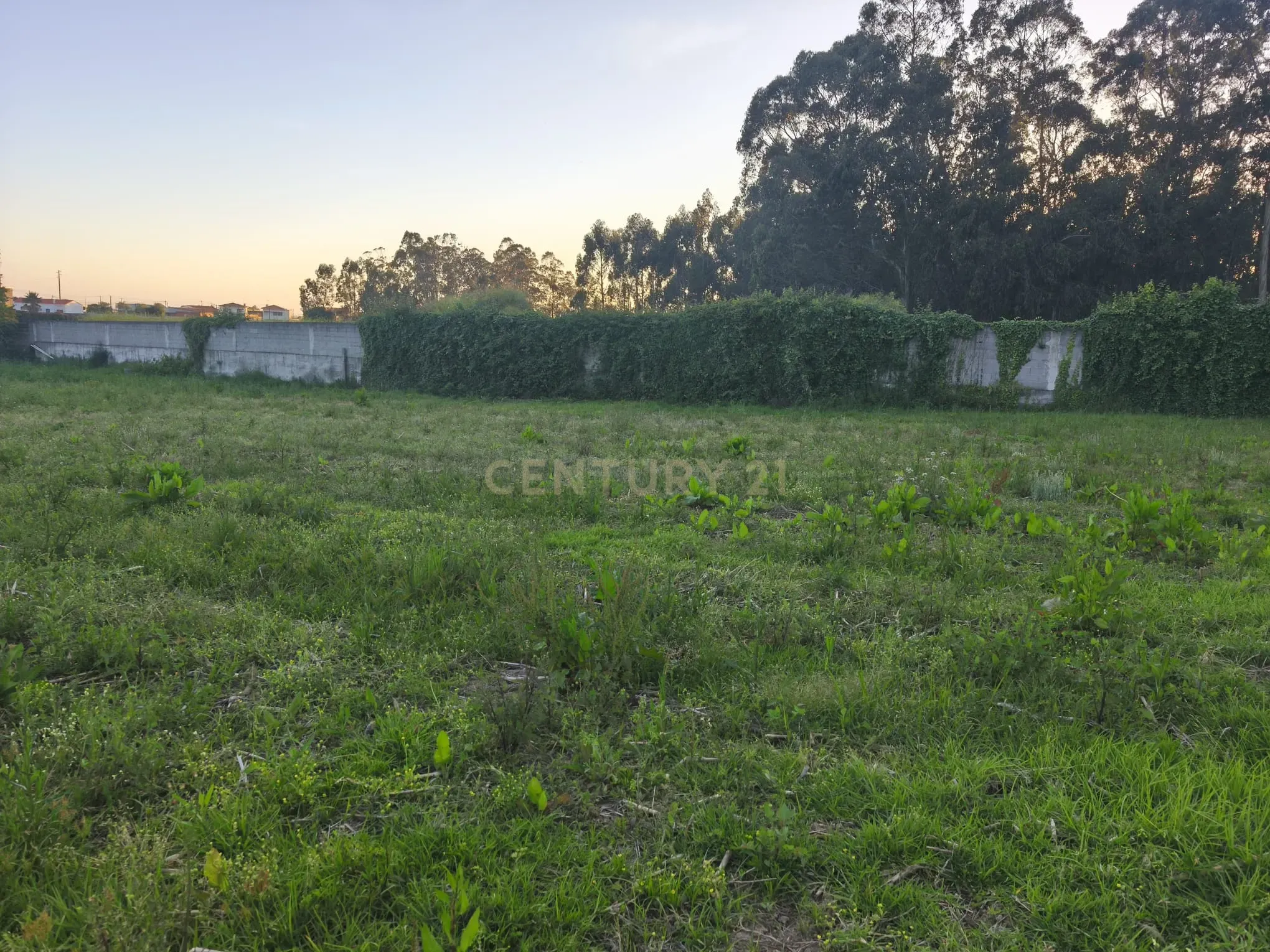Fotografia 4 de Quer construir uma moradia à sua medida perto da Póvoa de Varzim?