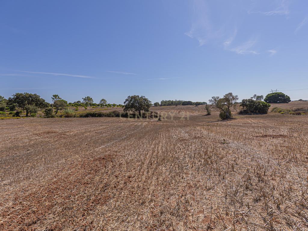 Quinta Rural T3, c/ Terreno 16,775ha, Melides, Grândola - Image 26