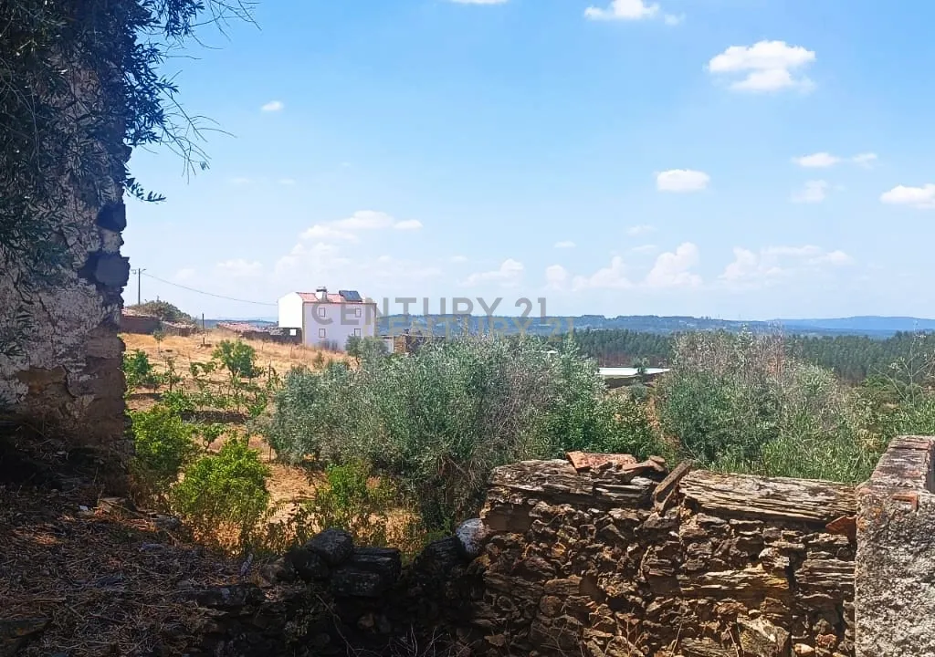 Casa Rural para Reconstrução Total – Chão da Velha, São Matias, Nisa - Image 2