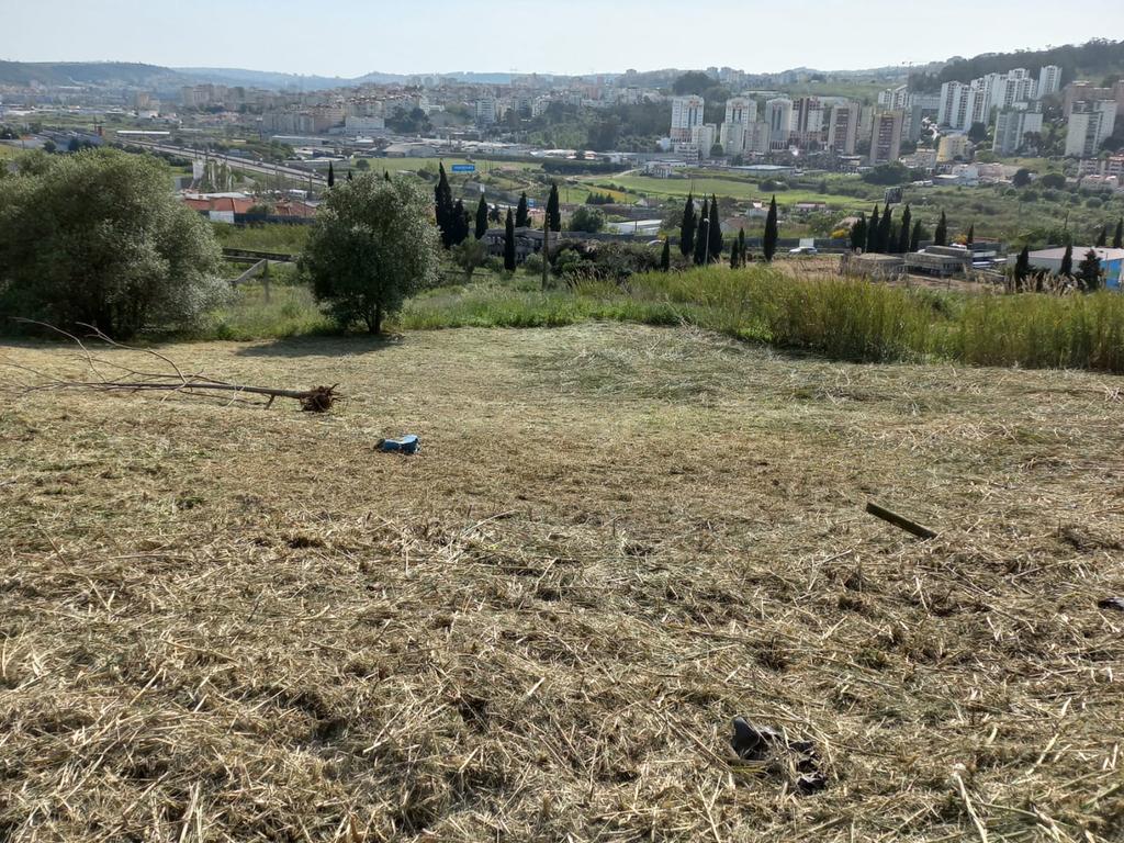 Terreno Rustico junto ao IKEA - Image 6