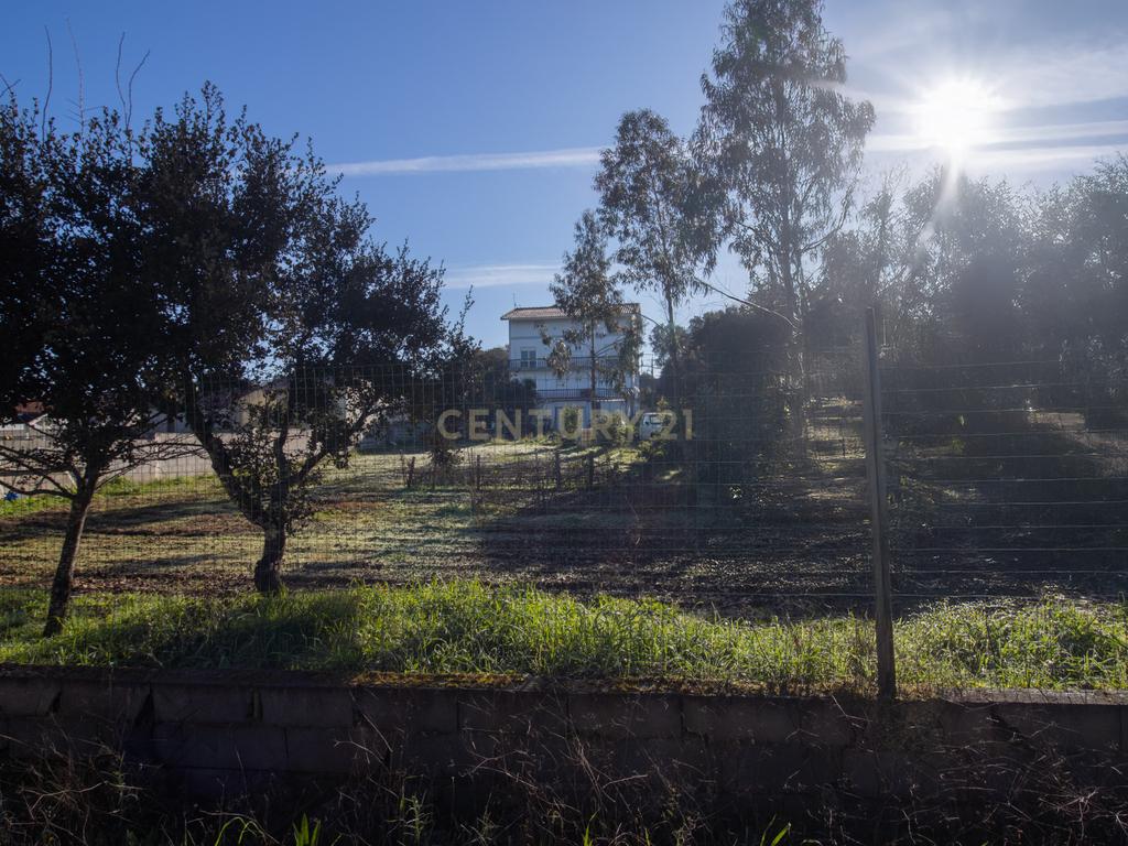 Moradia multifamiliar com rendimento imediato | 2.000 m² de terreno | A apenas 4,5 km de Fátima - Image 16