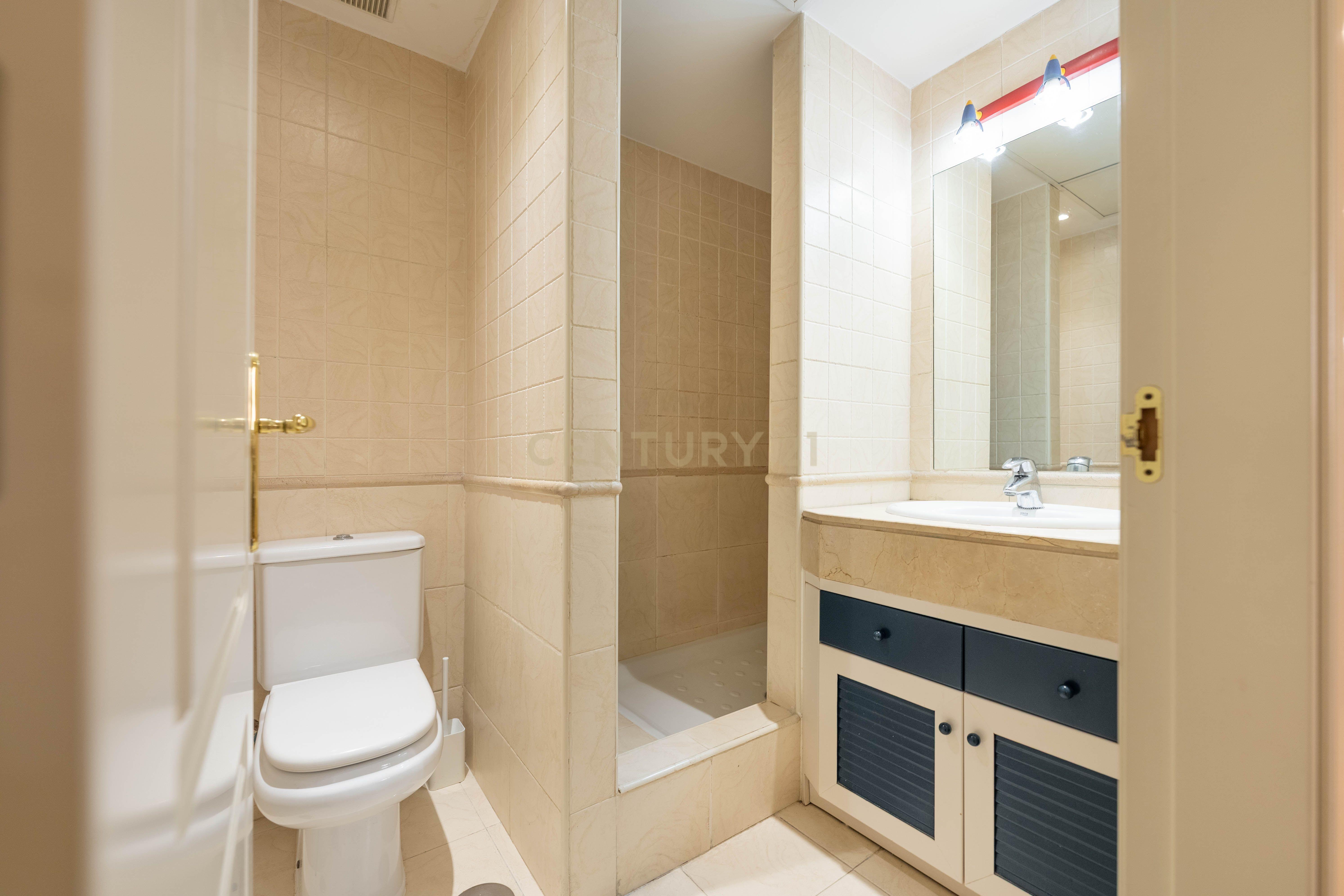 - Image 12
