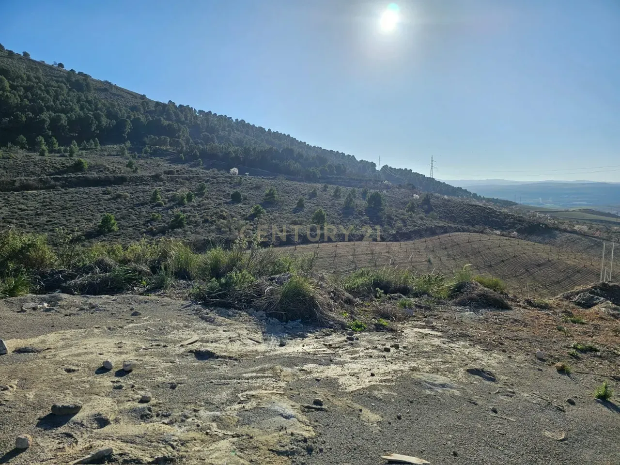undefined - Image 1