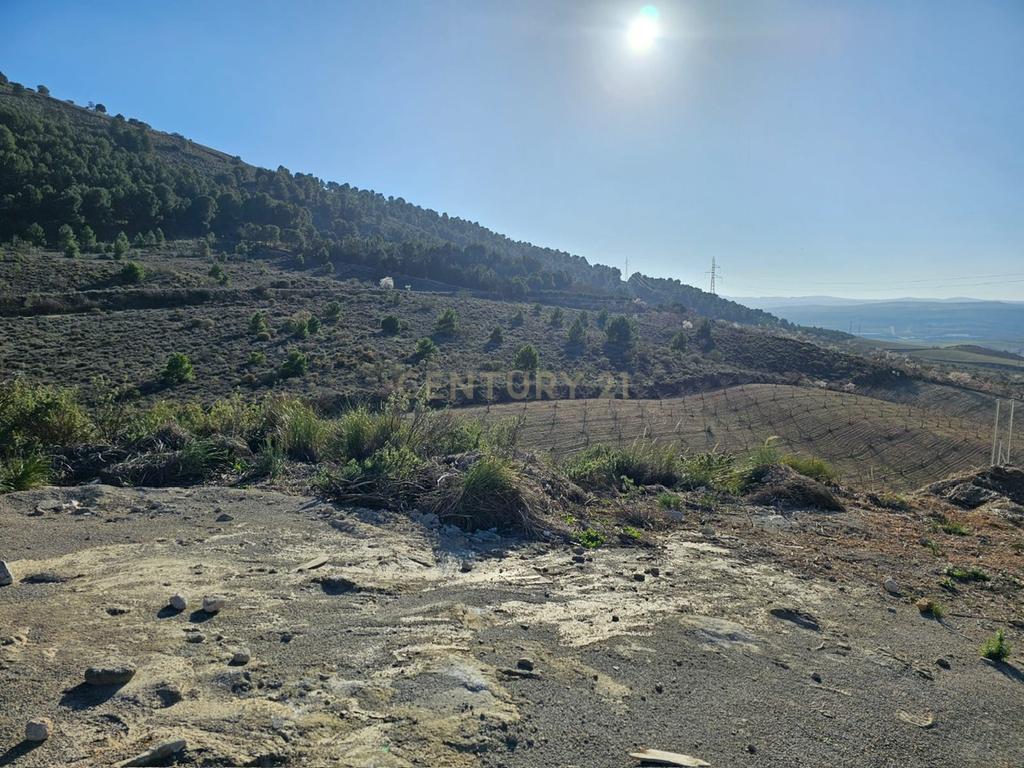 undefined - Image 1