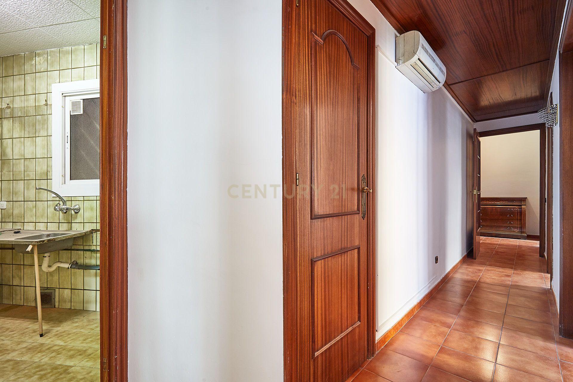 - Image 11