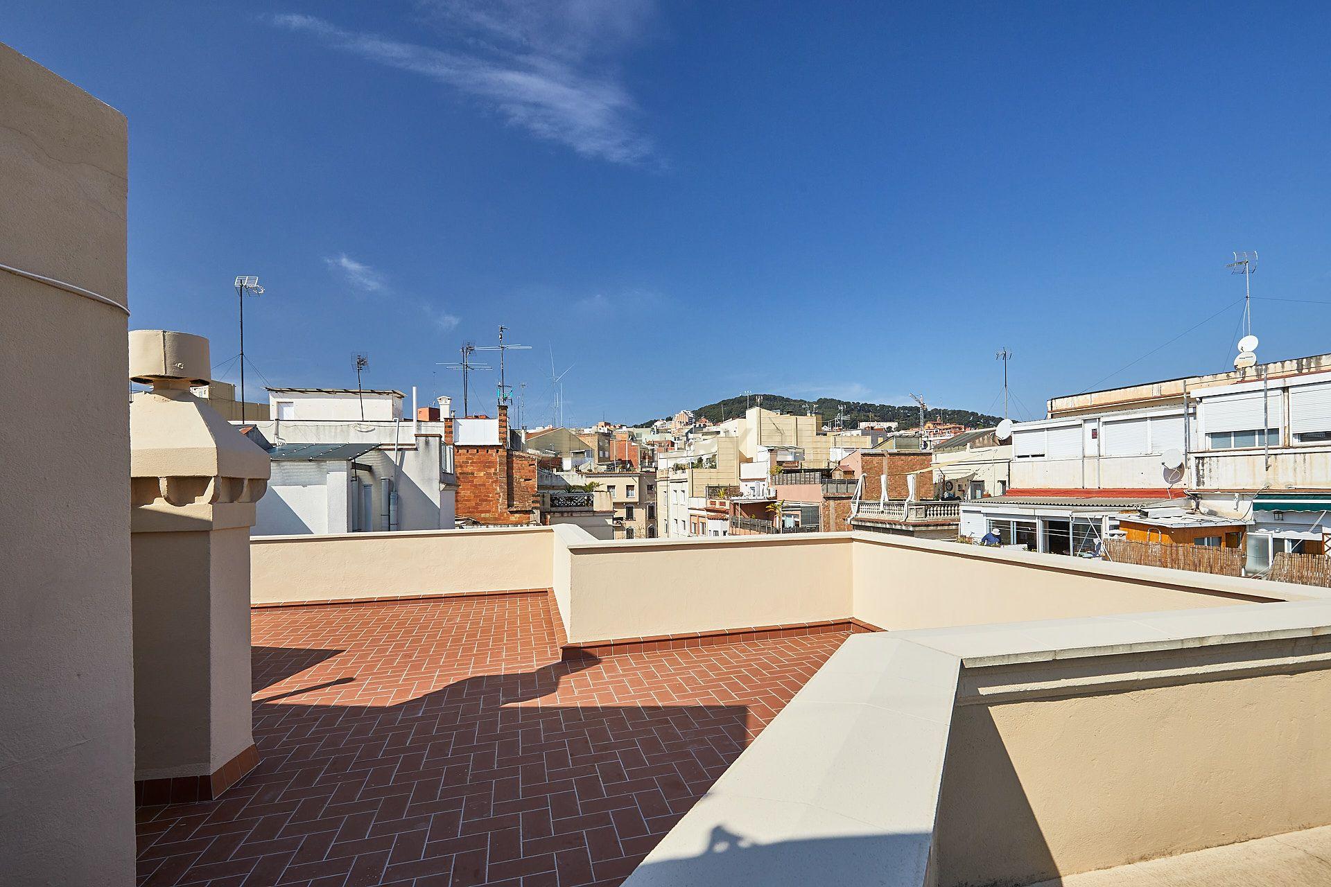 - Image 19