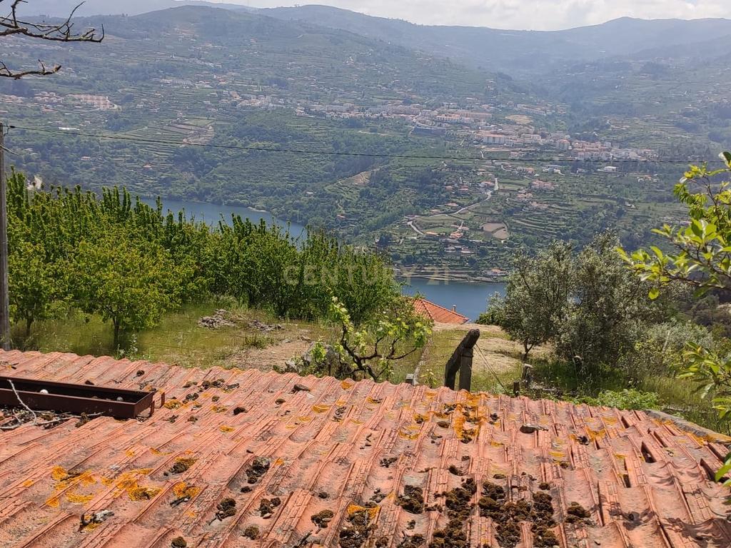 Terreno com casinha e vista para o rio Douro, em S. Tomé de Covelas, Baião para projeto agrícola - Image 86