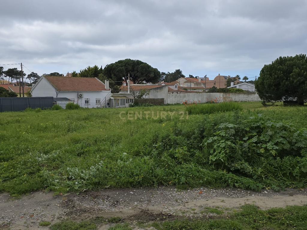 Terreno Urbano de 3.900 m², com moradia térrea sem licença – Charneca de Caparica - Image 5