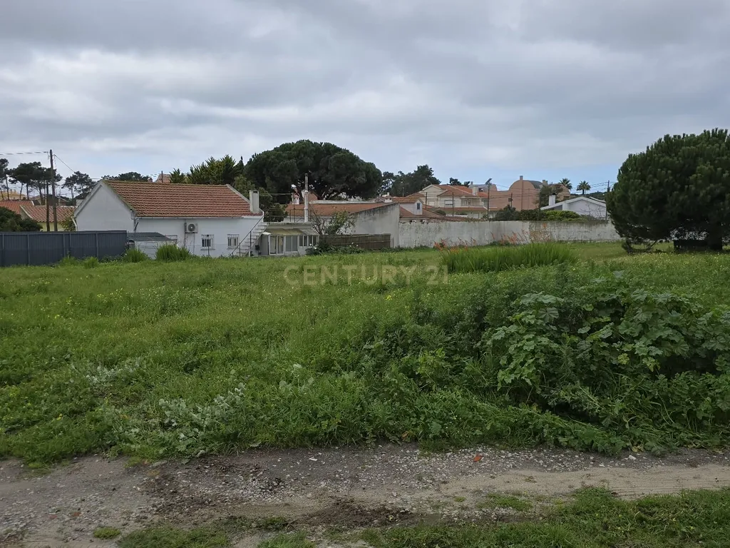 Terreno Urbano de 3.900 m², com moradia térrea sem licença – Charneca de Caparica - Image 5