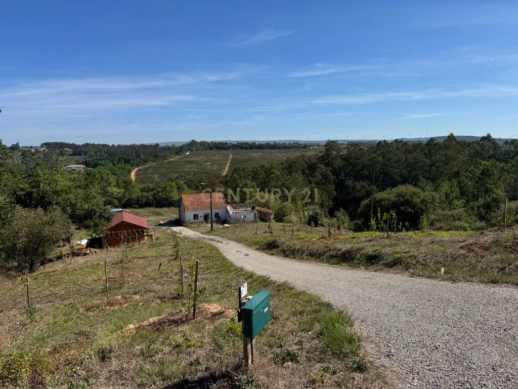 Moradia em ruína com 5.570 m² de terreno em Alvorninha - Image 17