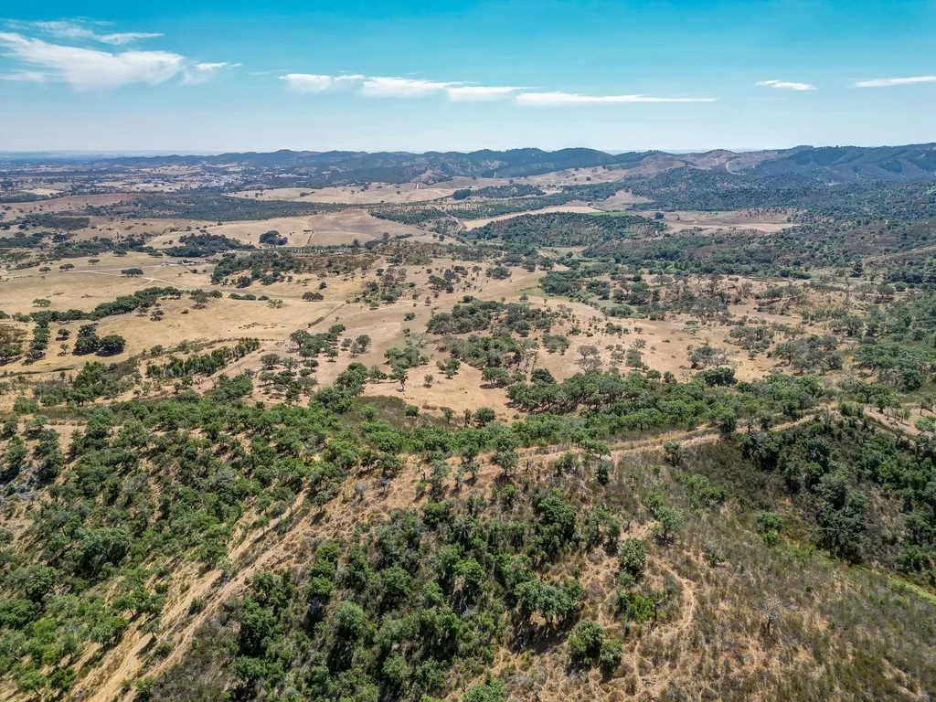 Herdade com 59,225 ha , 687m2 urbano, nascente de água, em Colos, Odemira - Image 15