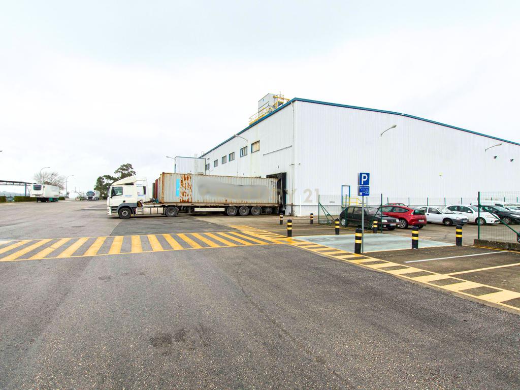 Armazém Industrial no Carregado - Image 3