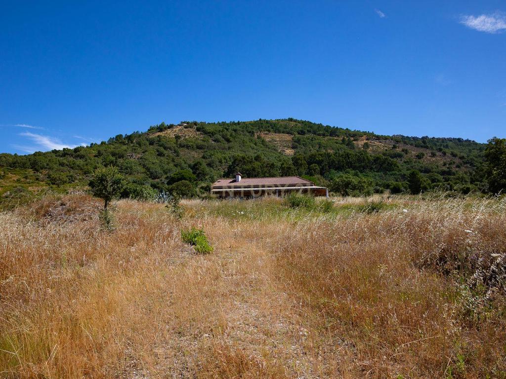 Quinta com 2,5 hectares em Portalegre - Image 4