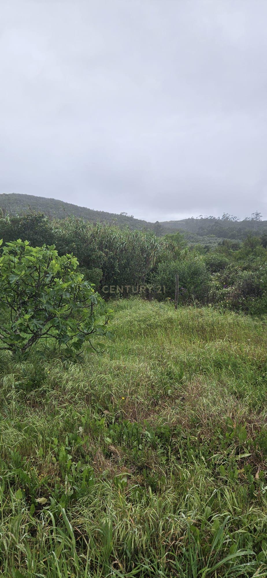Fotografia 5 de Terreno rústico com 2.750 m² (0,275 ha), localizado na zona de Canafechal, na Mexilhoeira Grande, concelho de Portimão.