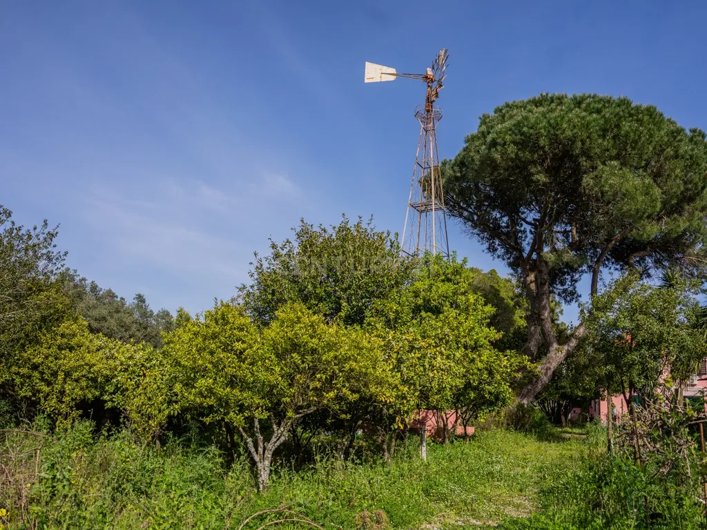Moradia de charme T5 com Garagem e Terreno em Abrunheira, Sintra - Image 49