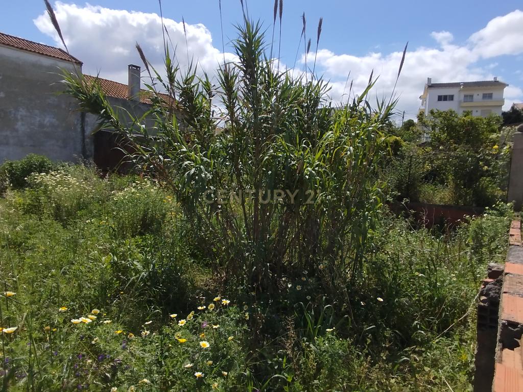 Terreno Urbano com 325m2 – Charneca da Caparica - Image 5