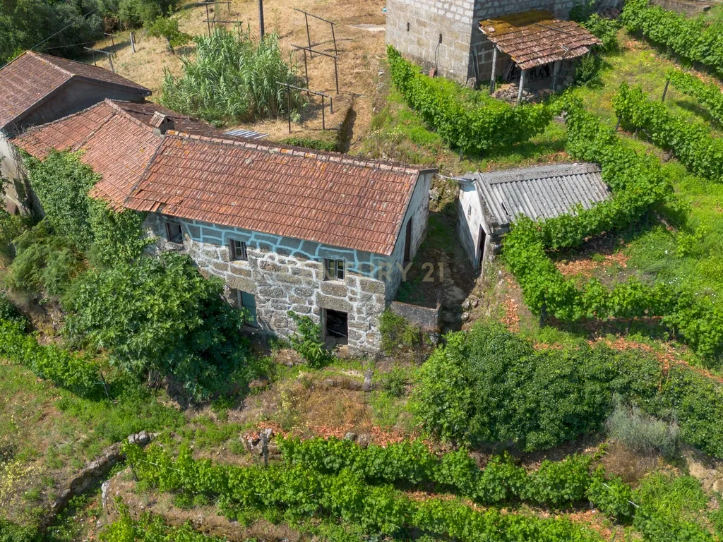 Quintinha com 2 casas em pedra para recuperar + 2 terrenos com vinhas-( 8.210m2 ) -Douro Vinhateiro! - Image 4