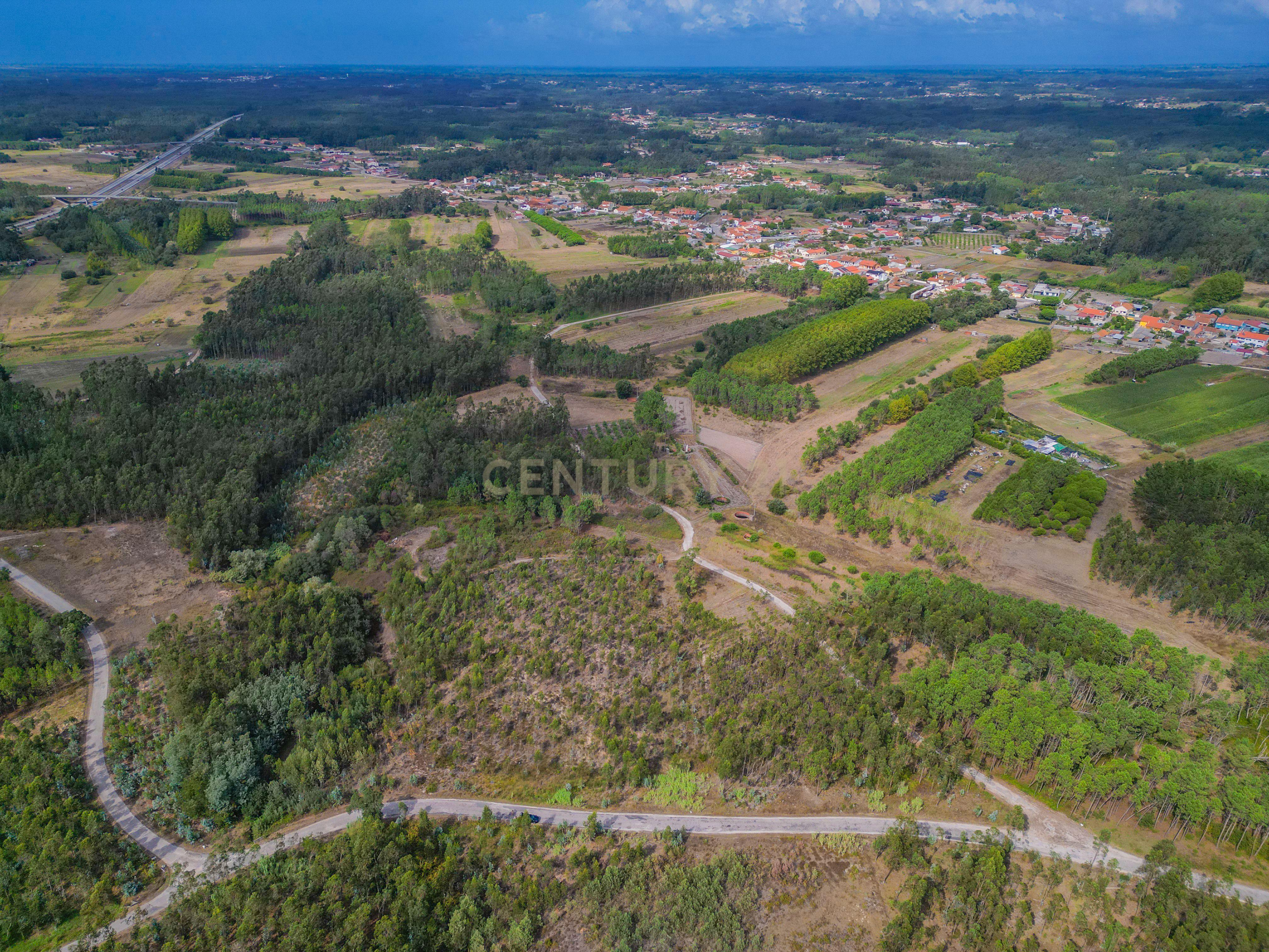 Fotografia 5 de Terreno rústico com cerca de 3.930,00 m² para venda em Lafrana de Cima – Figueira da Foz