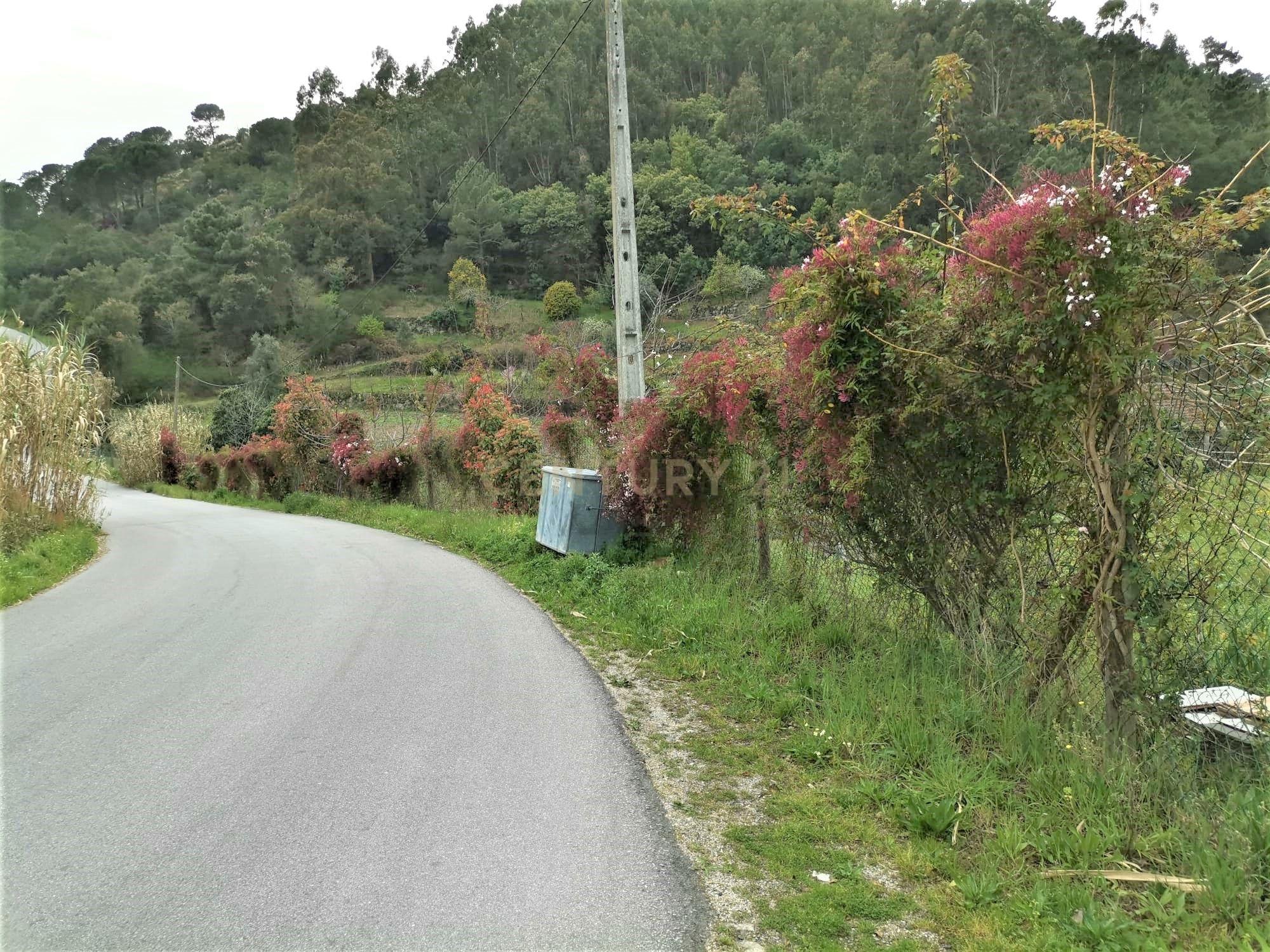 Terreno agrícola com àgua e viabilidade de construção em Granja, S. Tomé de Covelas, Baião, perto do do rio Douro, Porto - Image 17