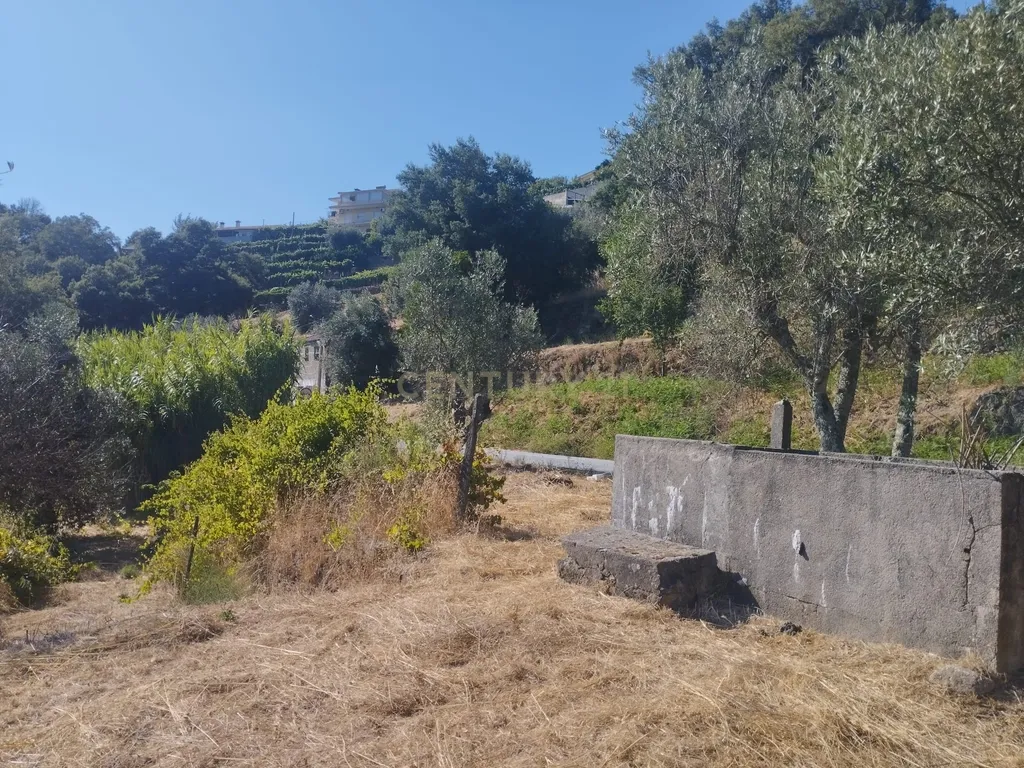 Moradia em ruina repleta de belas histórias, para reconstruir, no coração do Douro em Frende, Baião - Image 53