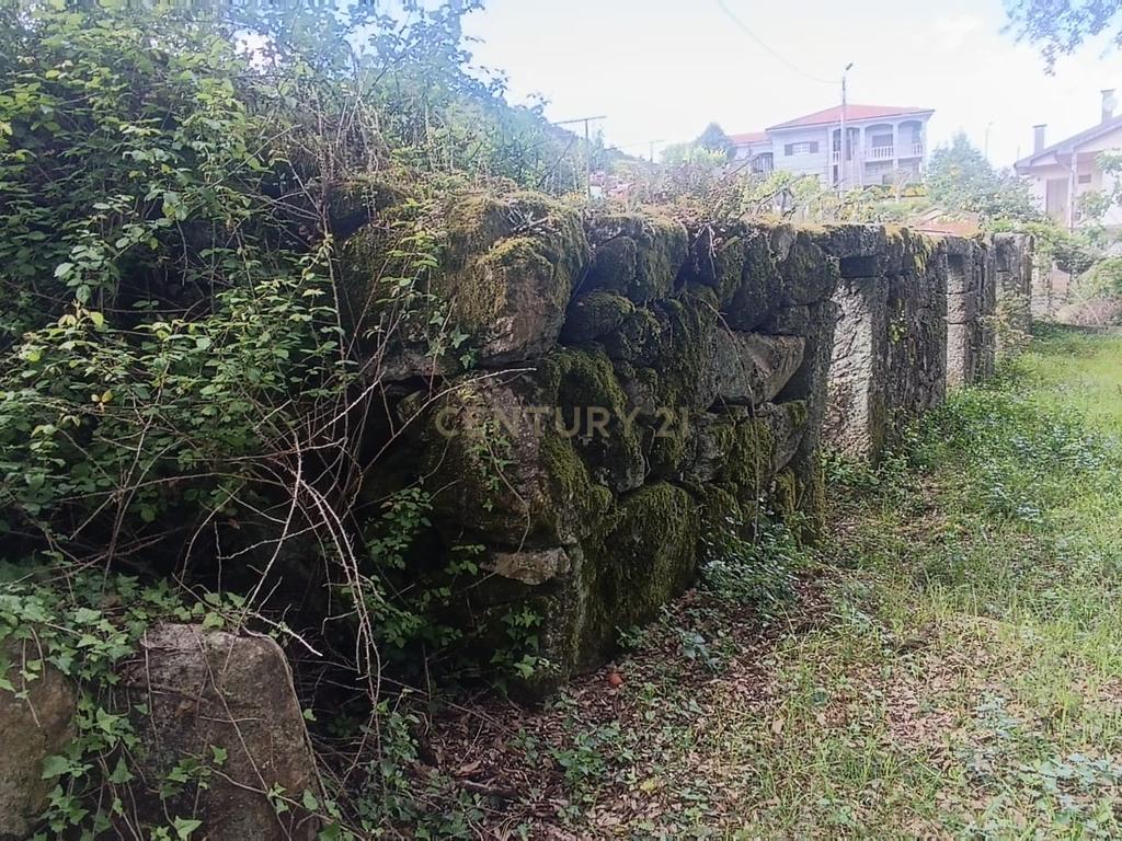 Belíssima ruína em terreno verdejante com vista deslumbrante para o Rio Douro, Baião, Porto - Image 10