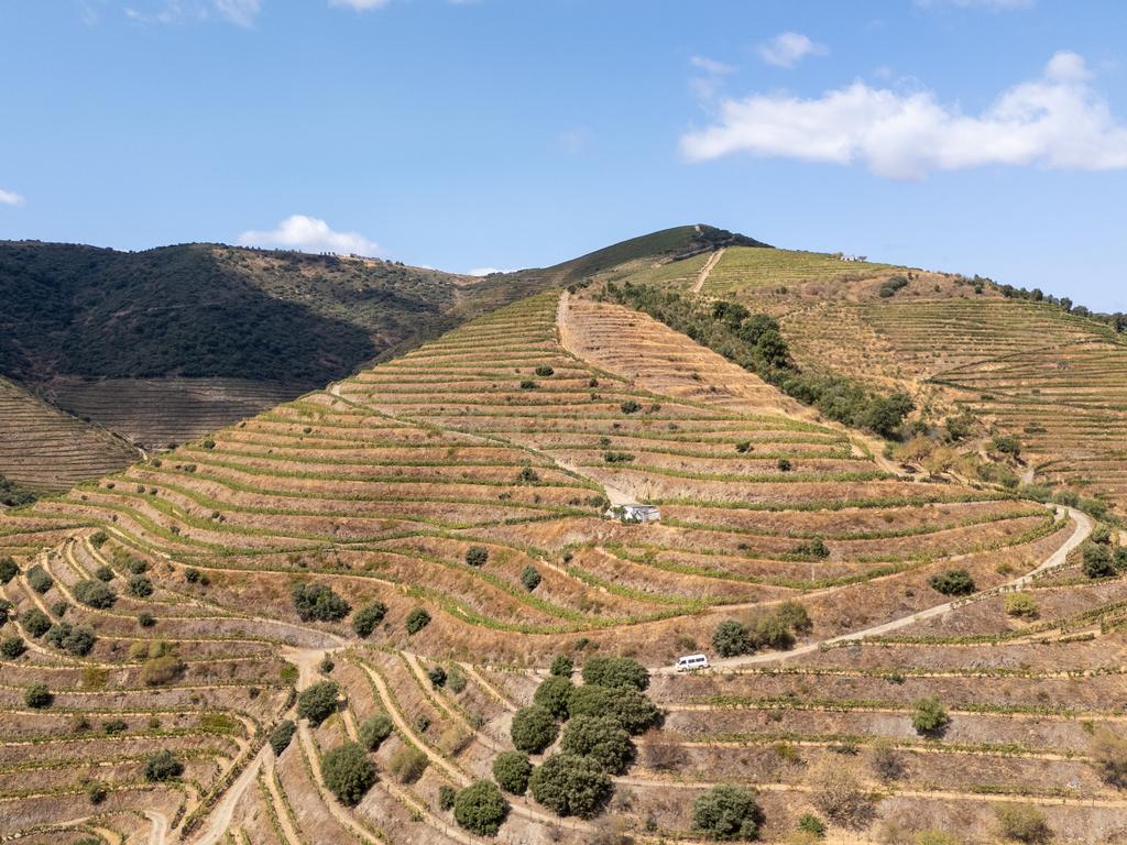 Farm with productive vineyard in the Douro Demarcated Region — São João da Pesqueira - Image 1