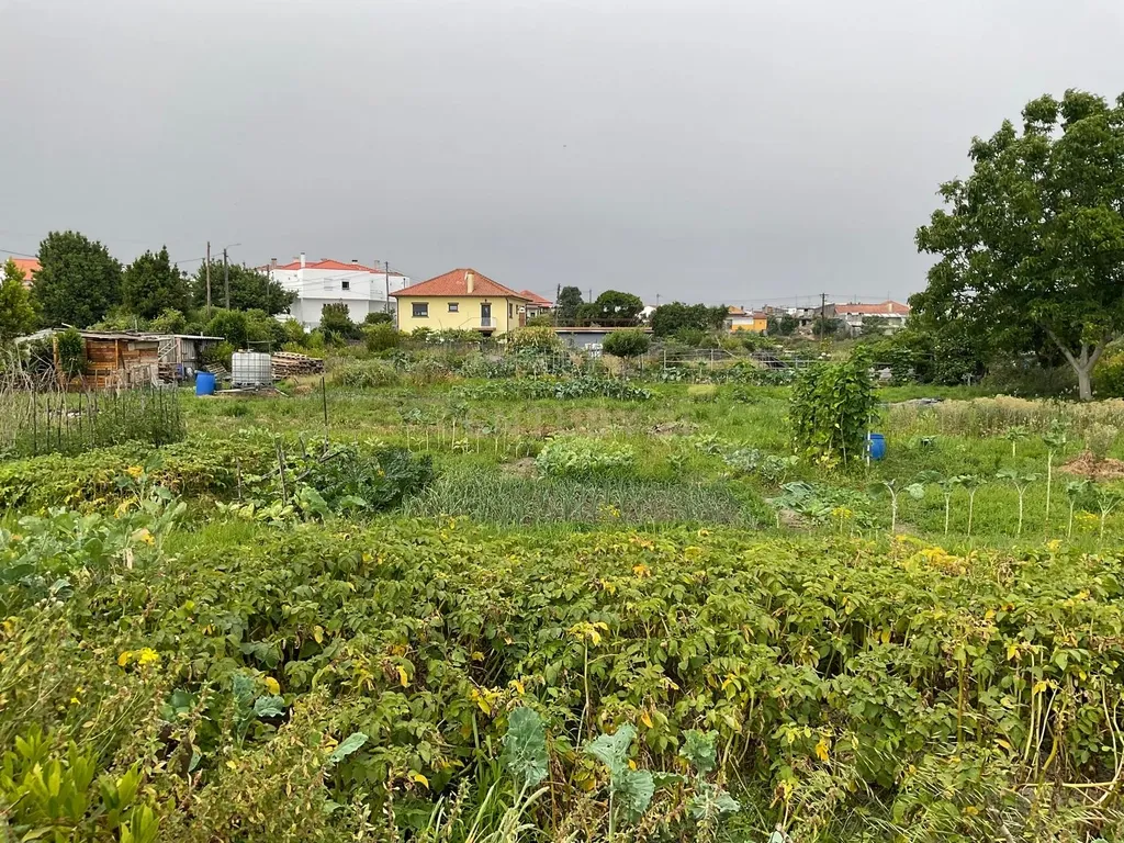 Espetacular Terreno de 572m² em Viana do Castelo - Image 8