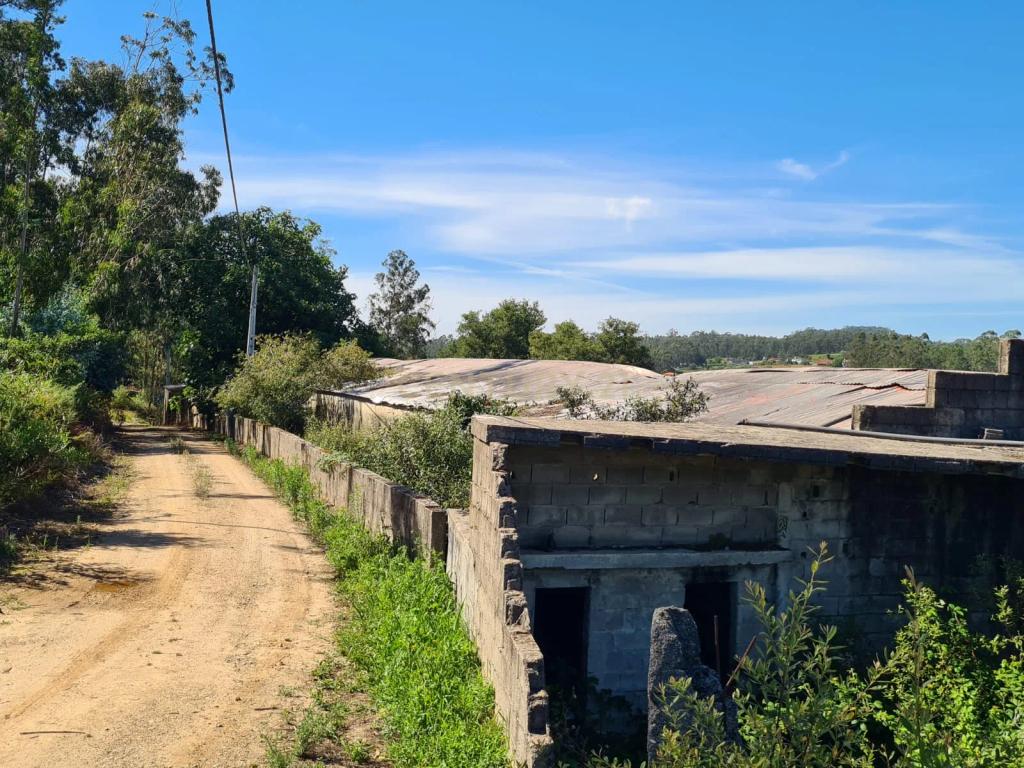 Terreno com Pavilhão Industrial em Barqueiros - Image 7