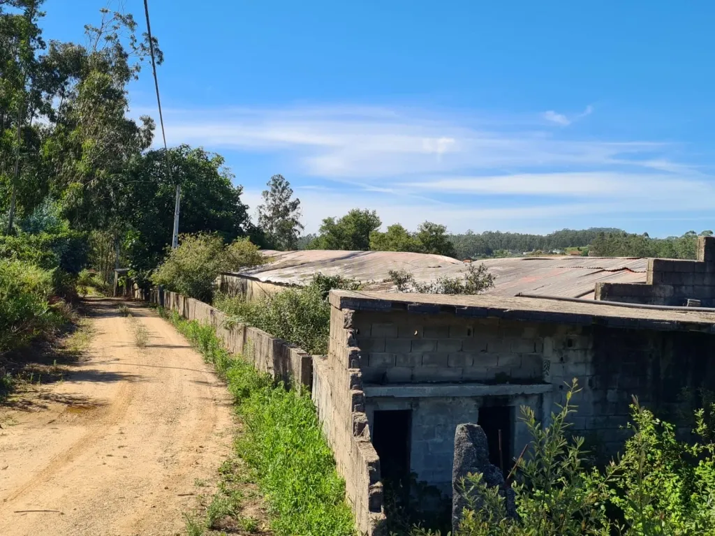 Terreno com Pavilhão Industrial em Barqueiros - Image 7