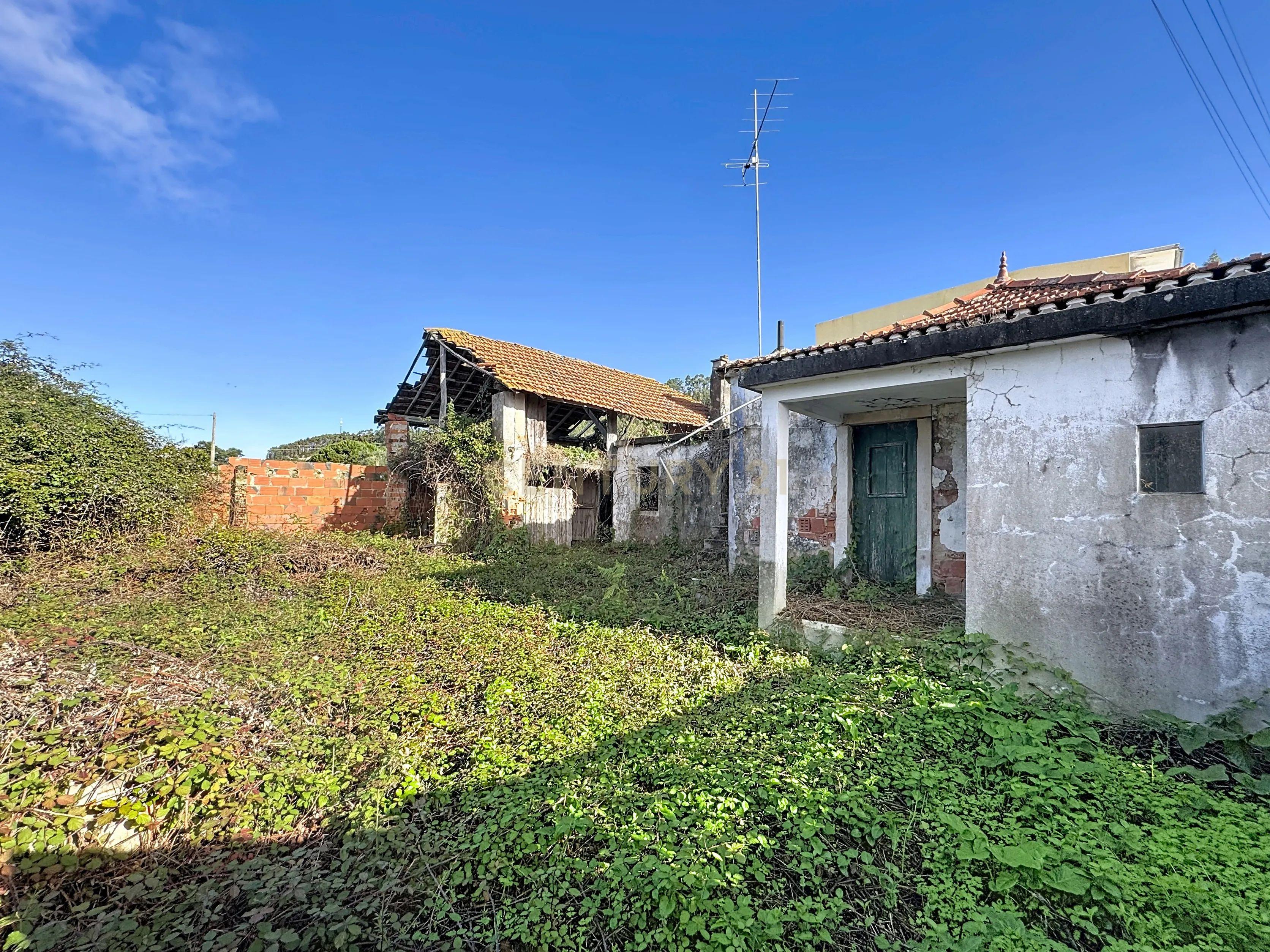 Fotografia 12 de Casa em Ruínas para Recuperação com terreno | Coz, Alpedriz e Montes, Alcobaça