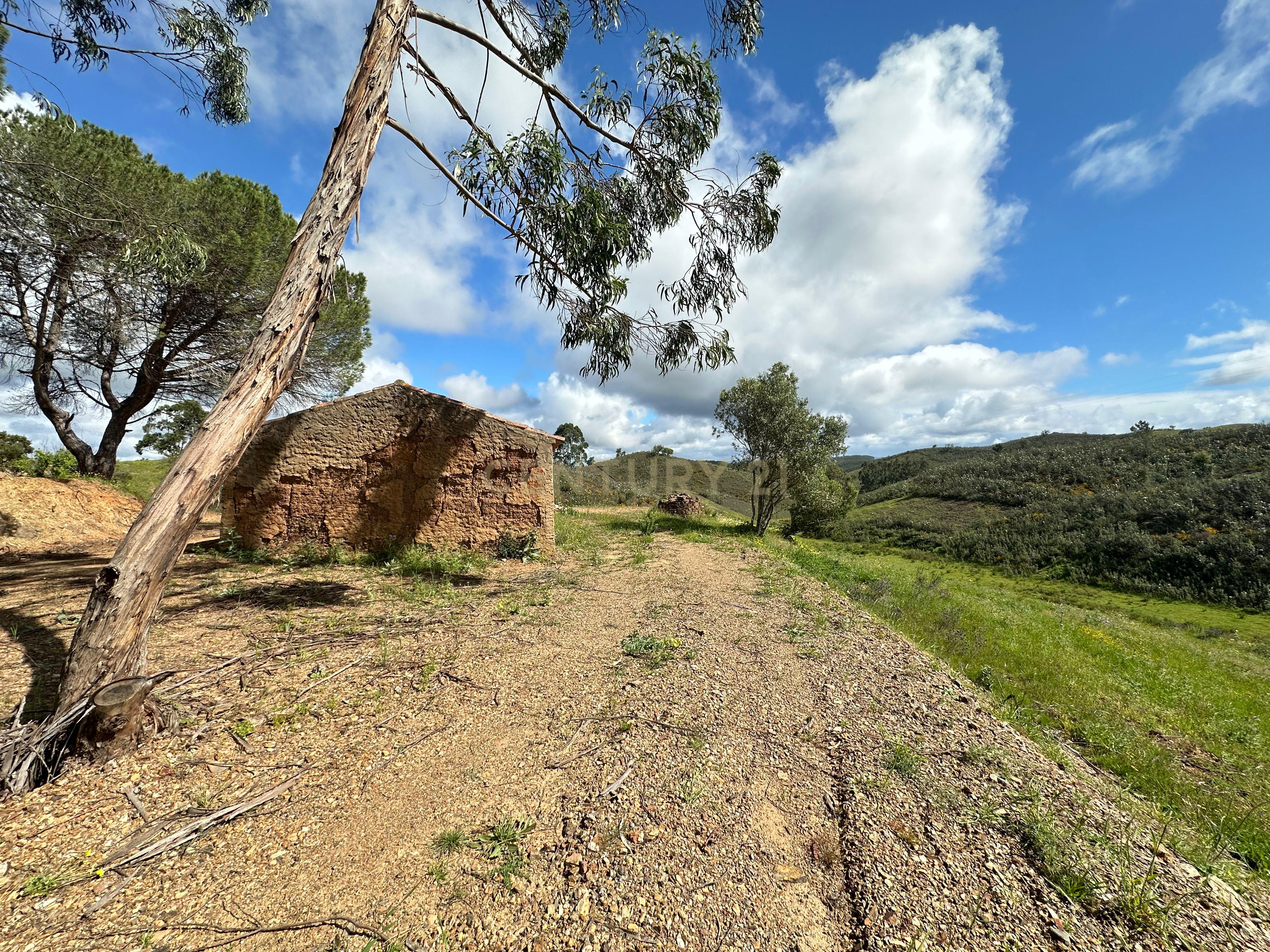 Fotografia 6 de Ruína de 81m2 + Terreno de 3,7ha | Perto de Praia do Carvalhal