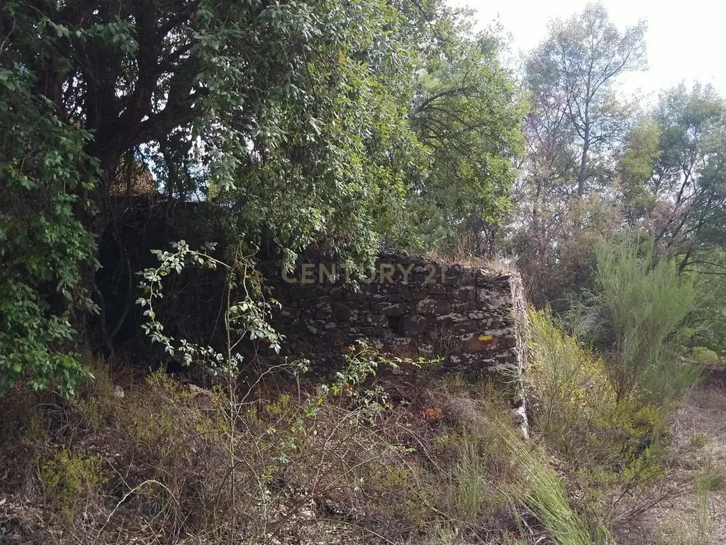 Ruína com Terreno nos Besteirinhos - Refúgio Natural em Salir - Image 10