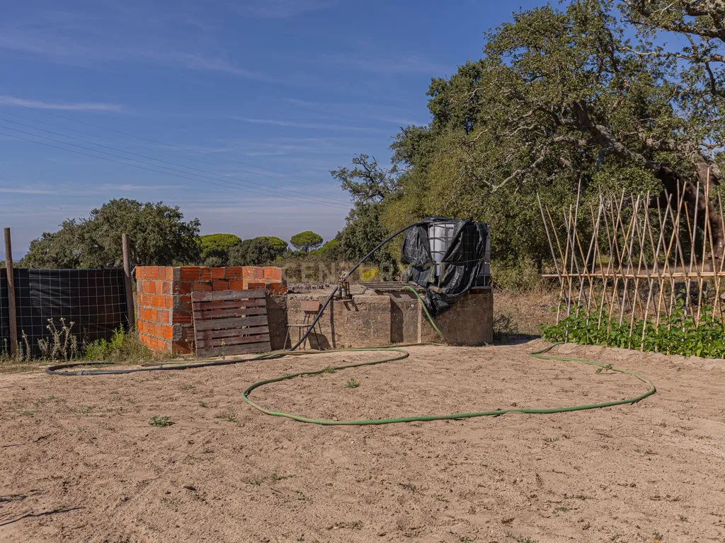 Quinta Rural T3, c/ Terreno 16,775ha, Melides, Grândola - Image 22