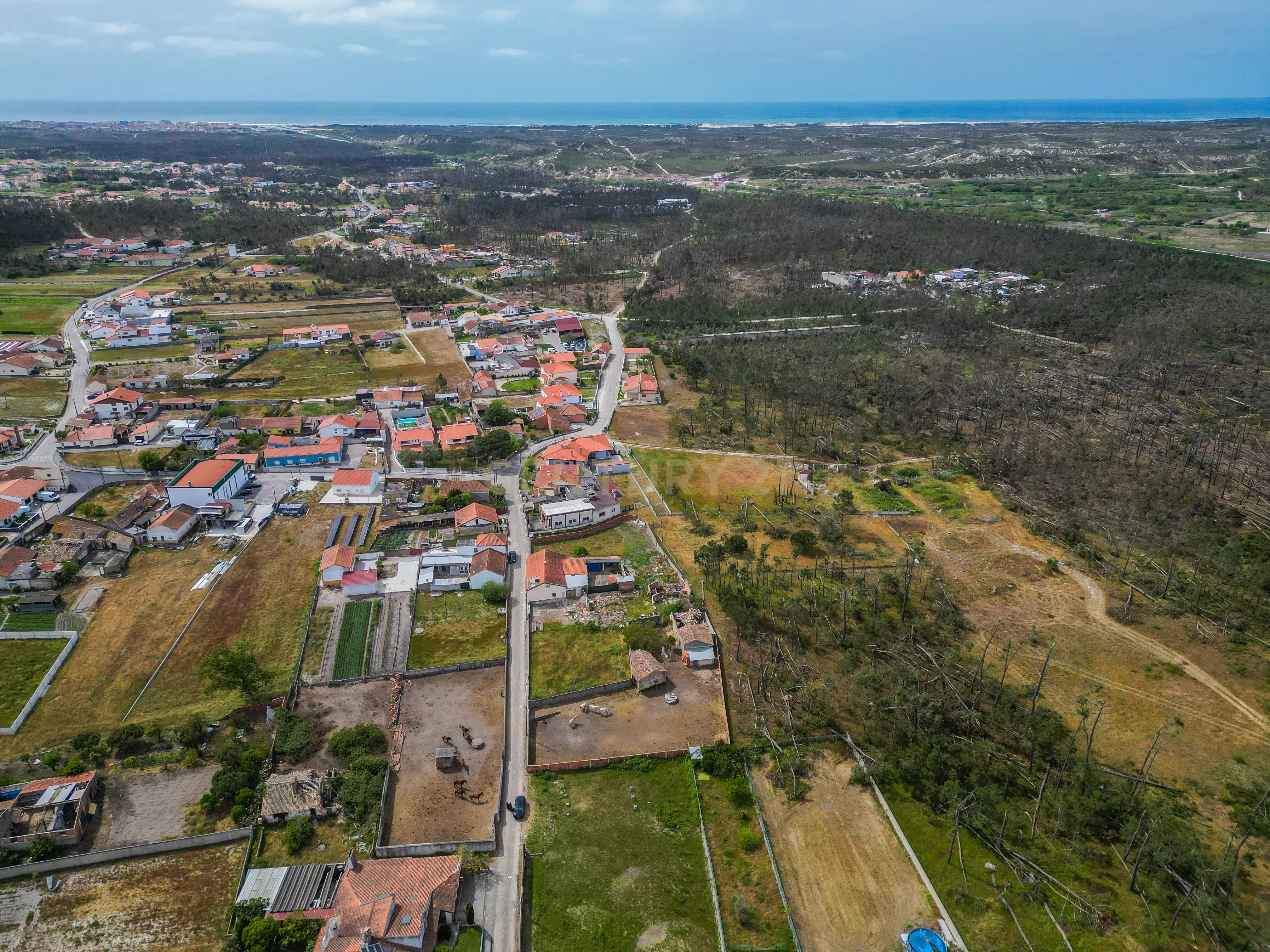 Fotografia 6 de Moradia Rústica para reabilitar em Vieira de Leiria, com terreno, a cerca de 5 minutos da Praia da Vieira