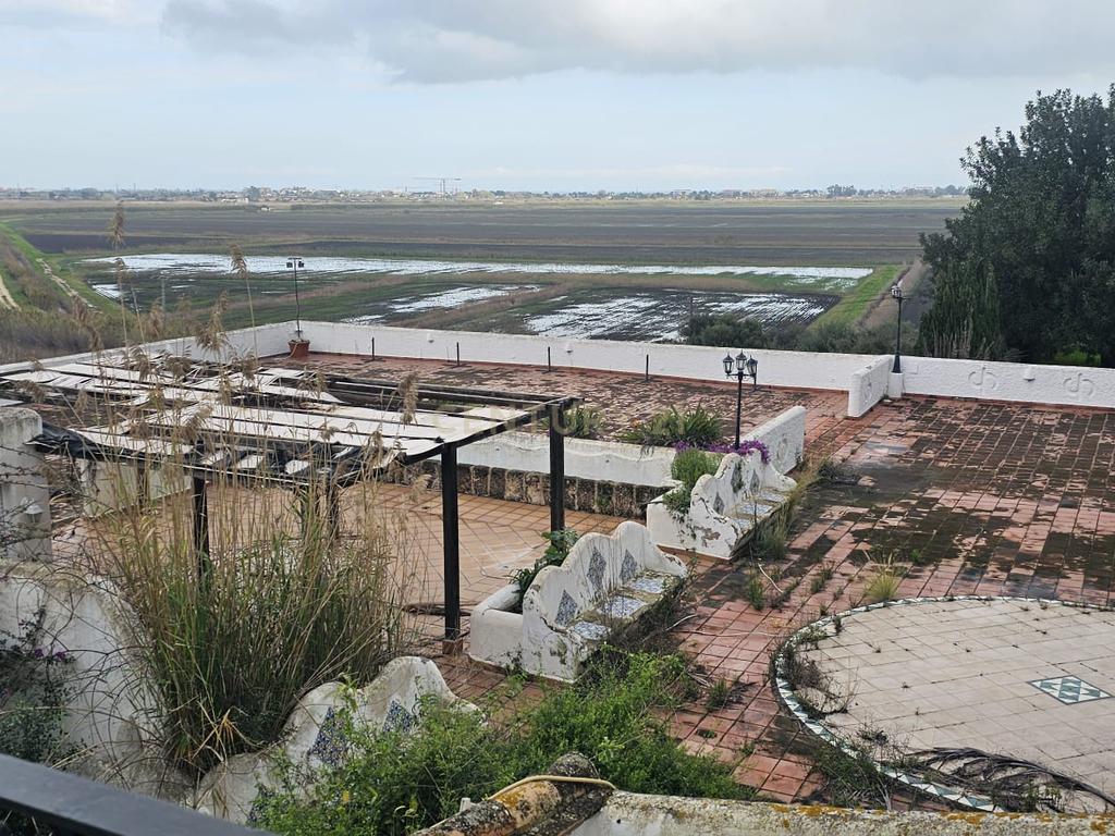 Local en Pego - Image 2