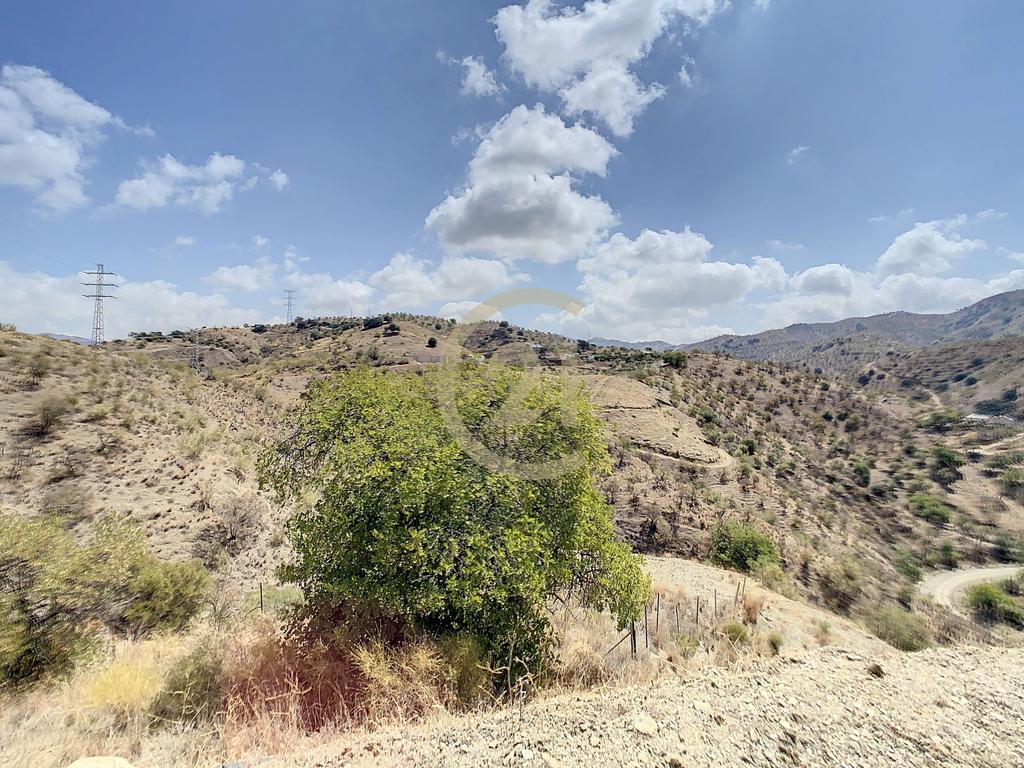 QUINTA RÚSTICA COM 11.000 m² DE TERRENO, PRIVACIDADE E VISTAS PANORÂMICAS EM ÁLORA - Image 27